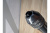 YT-2990_9 YT-2990_9